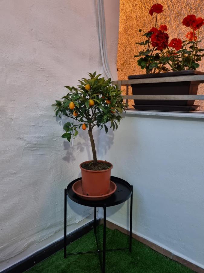 Giardino Moreno Palermo Dış mekan fotoğraf